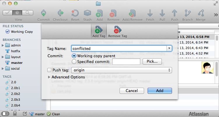 sourcetree_tag